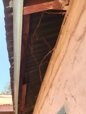 Barbed wire in the roof of the solitary confinement cell pictured above.