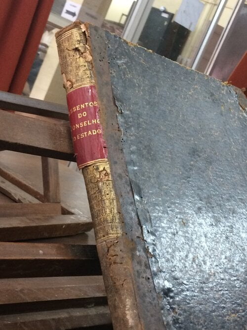 Battered spine in the Goa archives (Copy)