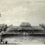 Red Bark and Empire: Unearthing the Colonial Roots of Kew Gardens